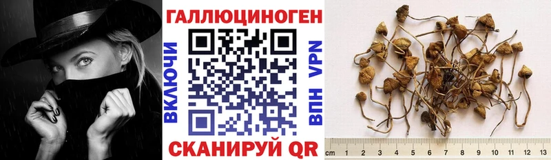 купить   Лукоянов  Галлюциногенные грибы мицелий 